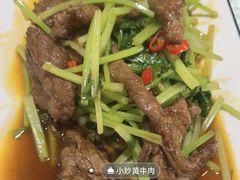 -呼吸森林·生态农庄农家乐私房菜