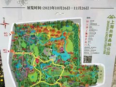 -上海共青森林公园