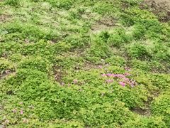 -白鹭湾湿地公园