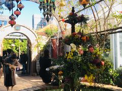 -The Grounds of Alexandria