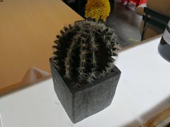 -友达面馆(二七南路店)