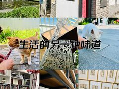 -北京鲁迅博物馆(北京新文化运动纪念馆鲁博馆区)
