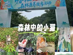 -广州市帽峰山景区