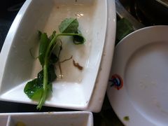 -芭夯兔·无骨兔汤锅(华阳店)