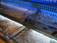 -芭菲盛宴·环球美食(北城国际店)