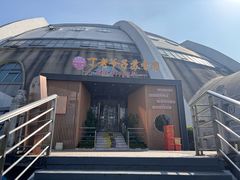 -丁老爷子苏香圆