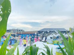 -小蜜蜂农场(凯德七宝购物广场店)