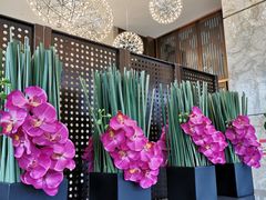 -湛江菜.江南首席(昆山店)