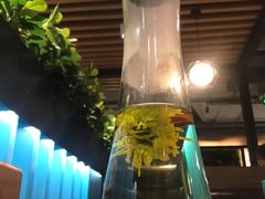 -东椰·海南椰子鸡火锅(朝阳门店)