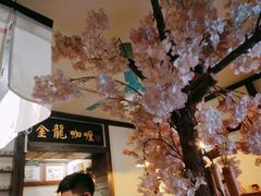-金龙咖喱