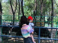 -长白岛森林公园