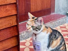 -Again Coffee Roaster(香蜜湖店)