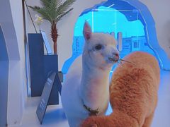 -Blue Concept Cafe&Farm·關於藍