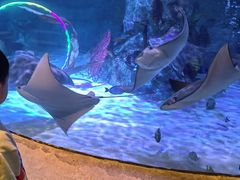 -沈阳海洋探索中心