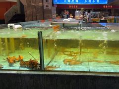 -国惠大酒楼(仓山万达店)