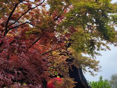 -龙华寺