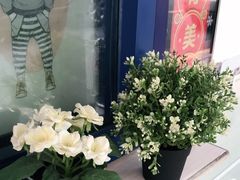 -milkplus·泰式奶茶(较场东路店)
