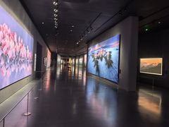 -罗红摄影艺术馆