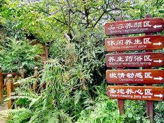 -龙山酒店温泉