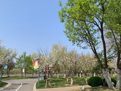-五环公园