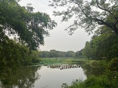 -西溪国家湿地公园