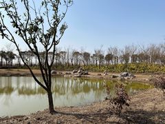 -春花秋色城市公园