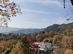 -塔川景区