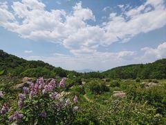 -白草畔自然风景区