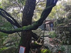 -绮园景区