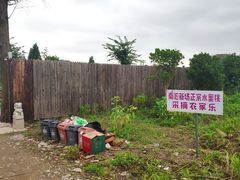 -南汇新场正宗水蜜桃采摘