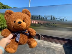 -济州岛泰迪熊博物馆