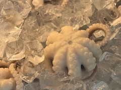 -铭聚章鱼土笋冻(松柏店)