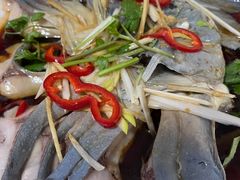 -煲来饱去冷水鱼