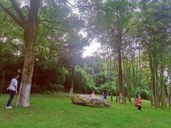 -天目湖御水温泉·度假酒店