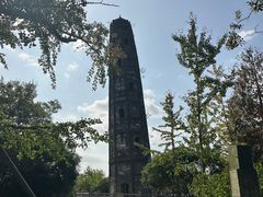 -上海佘山国家森林公园天马山园