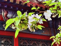 -元大都城垣遗址公园