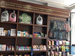 -宠爱国际动物医院· 猫科· 外科·中兽医(长白店)