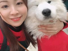 -星多哈·狗咖·拼豆·咖啡