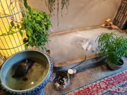 -威思丽高温瑜伽会馆