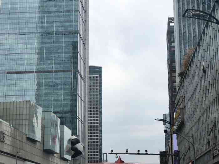 ifs国金中心顶楼有网红大熊猫所以是一定要来打个卡的啦