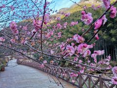 -长谷洞天