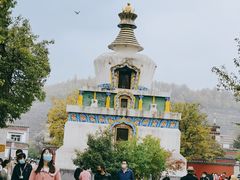 -塔尔寺游客服务中心