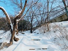 -北京龙庆四季香农家饭庄·灶台鱼·碳烤虹鳟鱼(龙庆峡店)