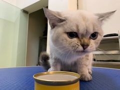 -沐沐家宠物(成寿寺店)