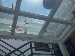 -蜜舍咖啡(洋人街店)