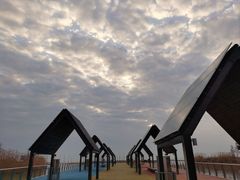 -滆湖低碳生态公园