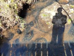 -五营红松林海景区