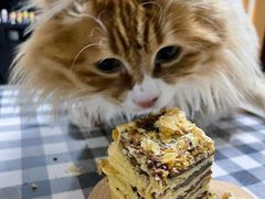 -爱德顺糕点食屋(利民道店)