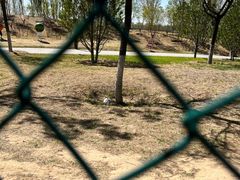 -瀛海足球主题公园