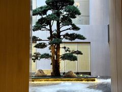 -外滩·云南人家(昆明旗舰店)